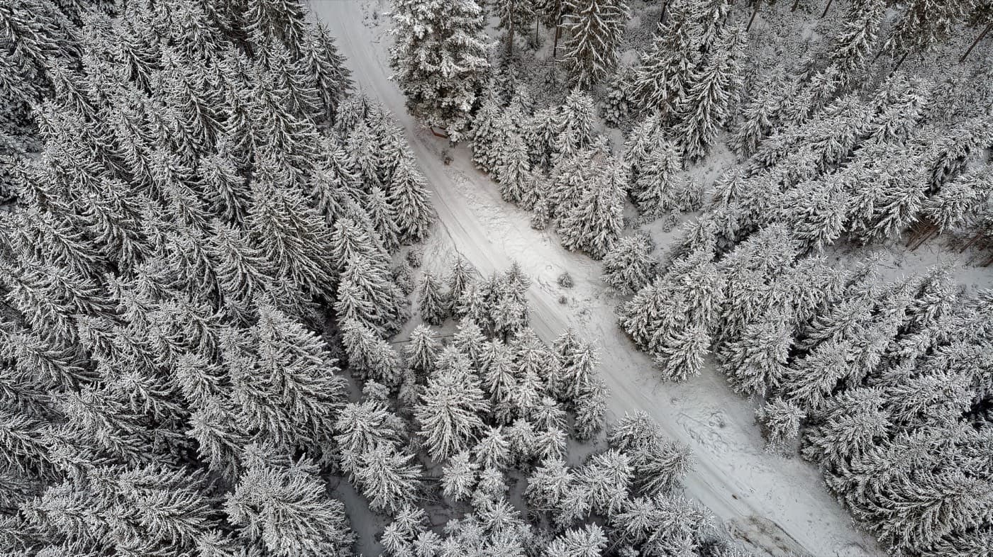 Панорама Карпат